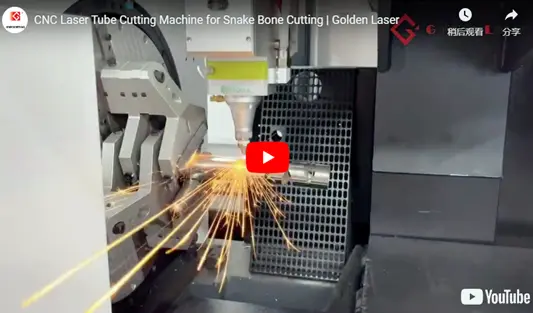 Tagliatrice di tubi Laser CNC per il taglio di ossa di serpente